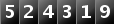 524319