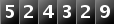 524329