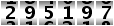295197