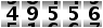 49556