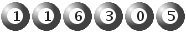 116305