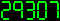 29307