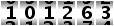 101263