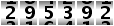 295392