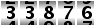 33876