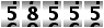 58555