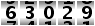 63029