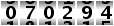 070294