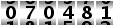 070481