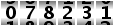 078231