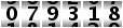 079318