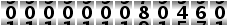 000000080460