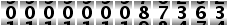 000000087363